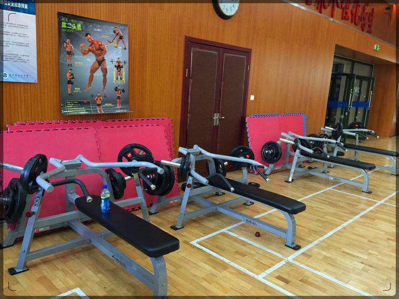 中學(xué)健身房