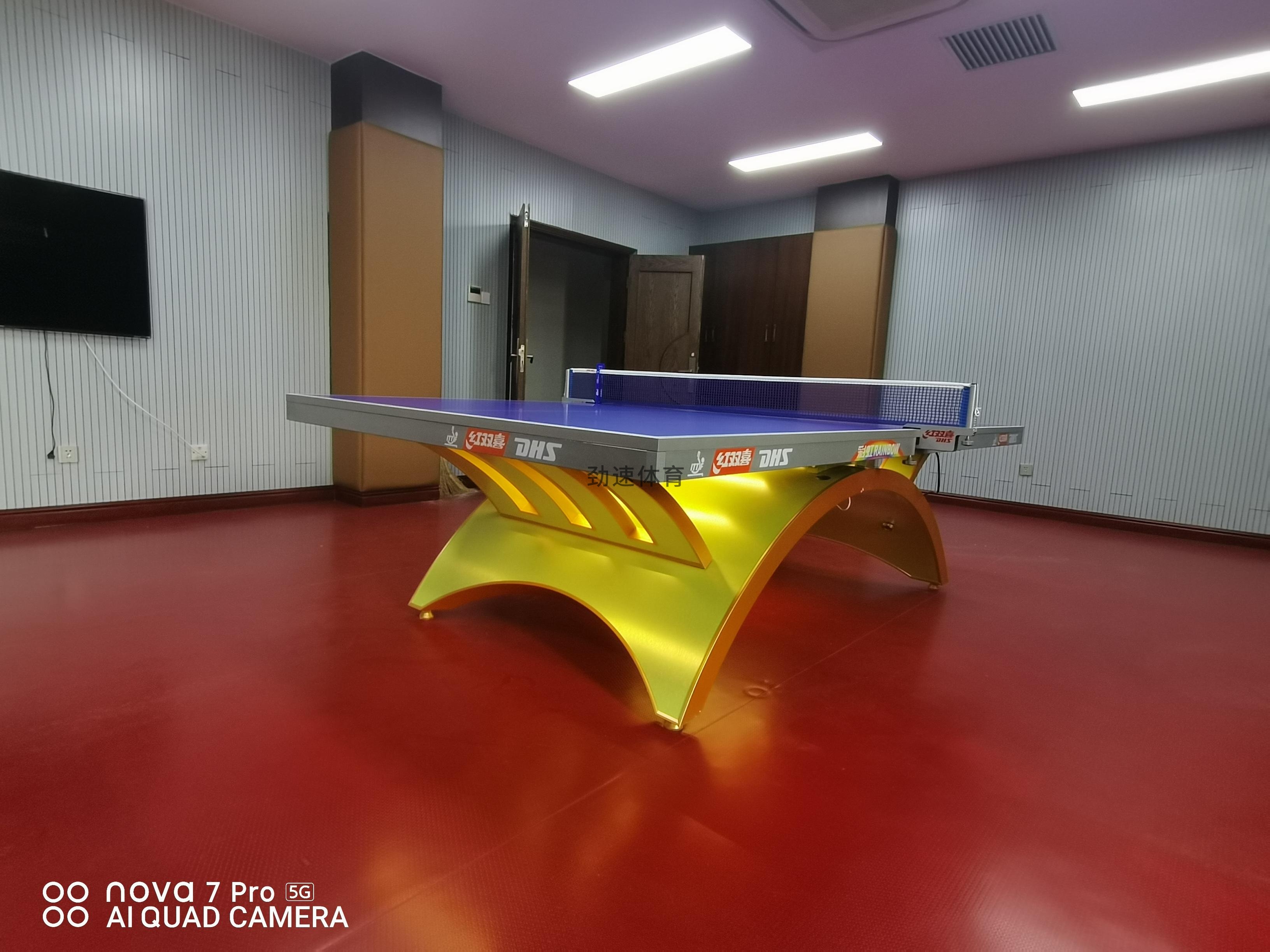 體育器材，紅雙喜乒乓球臺